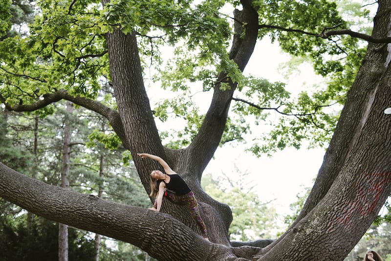 Zwei Äste vom gleichen Baum – Yoga und Ayurveda Urlaub