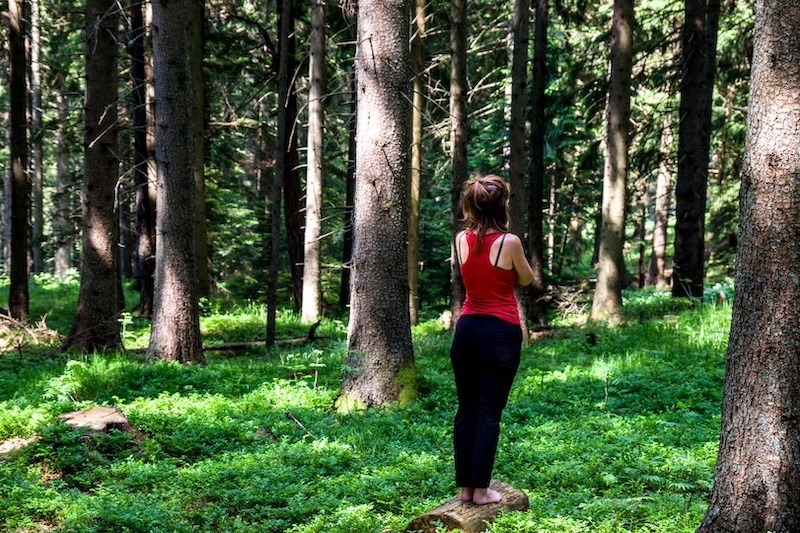 Forest bathing: a discovery of the healing power of the forest